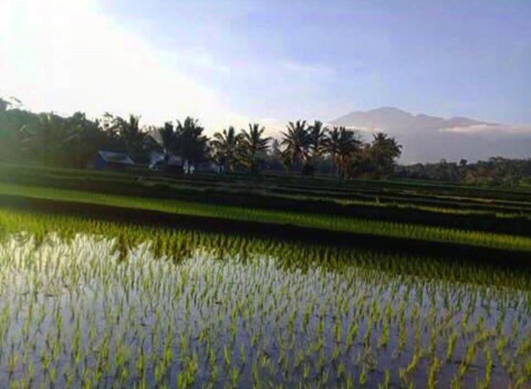 Appartamento Sky Garden Lombok Tetebatu Esterno foto