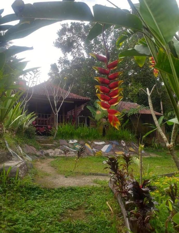 Appartamento Sky Garden Lombok Tetebatu Esterno foto
