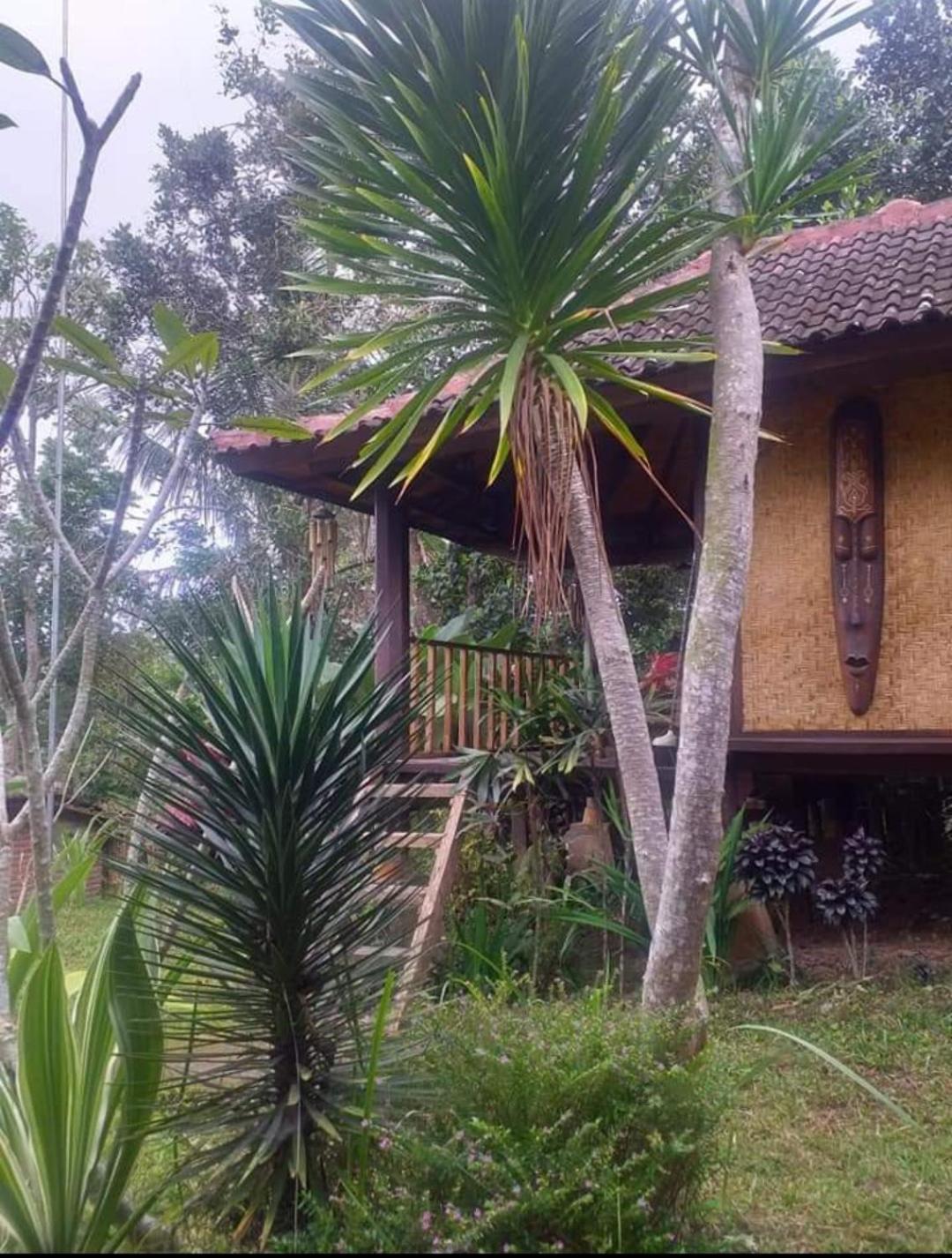 Appartamento Sky Garden Lombok Tetebatu Camera foto